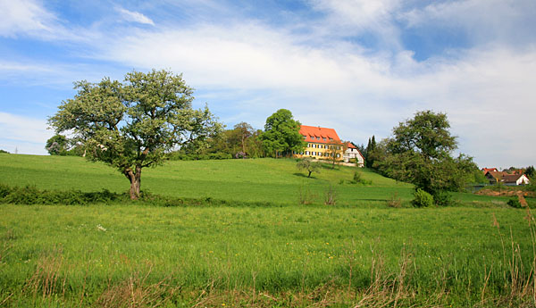 Bodanrück