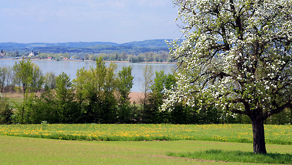 Ermatingen & Salenstein