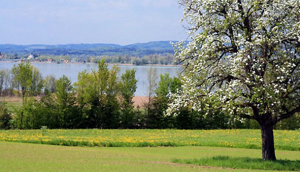 Ermatingen & Salenstein